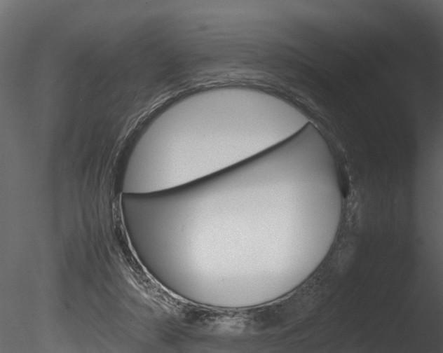 X0000085740306200703160910
