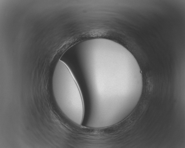 X0000085740308200703160910