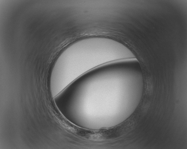 X0000085740309200703160910