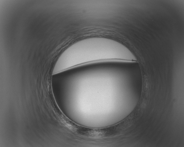 X0000085740313200703160910