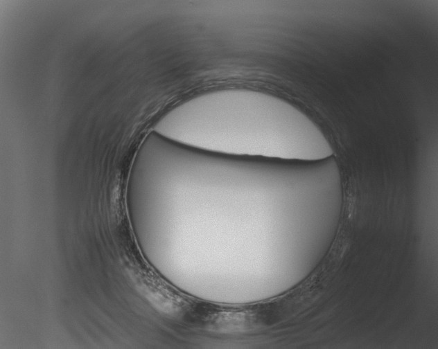X0000085740314200703160910