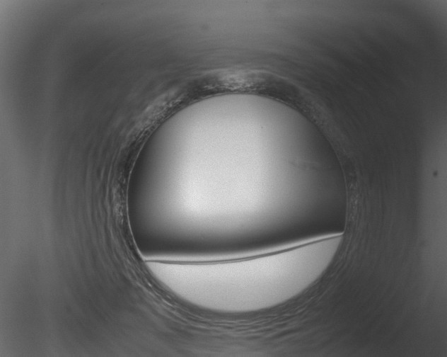X0000085740317200703160910
