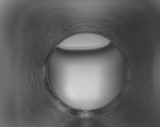 X0000085740321200703160910