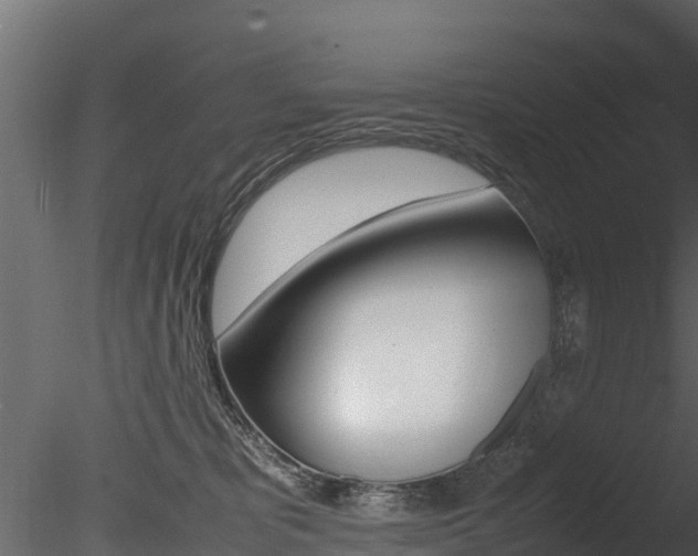 X0000085740325200703160910