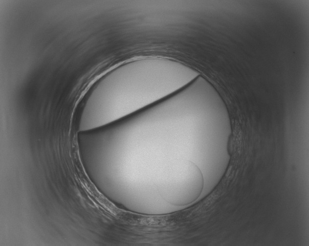 X0000085740338200703160909