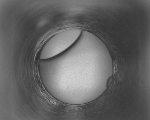 X0000085740339200703160909