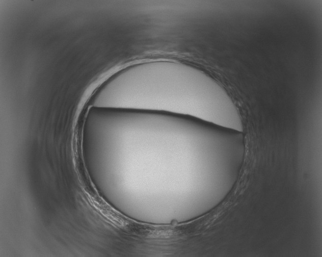 X0000085740342200703160909