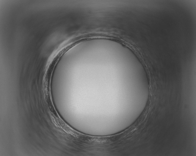 X0000085740343200703160909