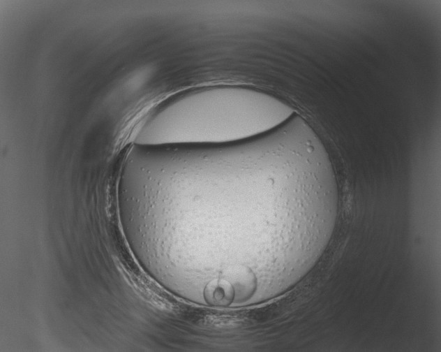 X0000085740351200703160909
