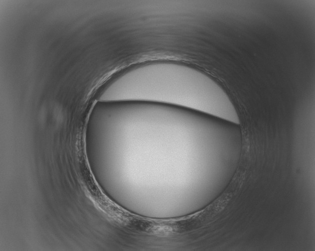 X0000085740352200703160909