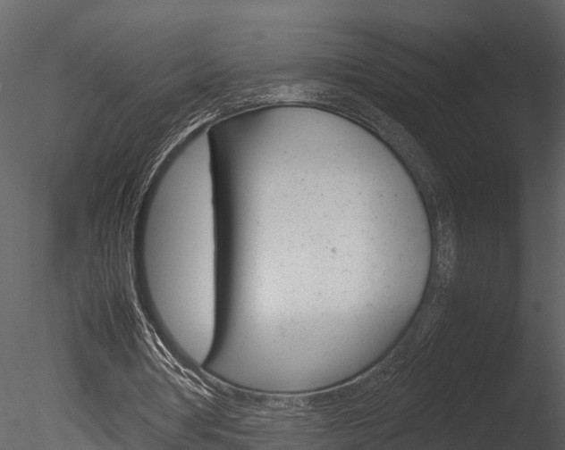 X0000085740386200703160909