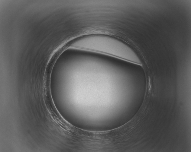 X0000085740388200703160909