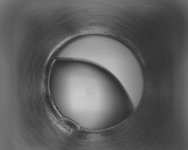X0000085740392200703160909