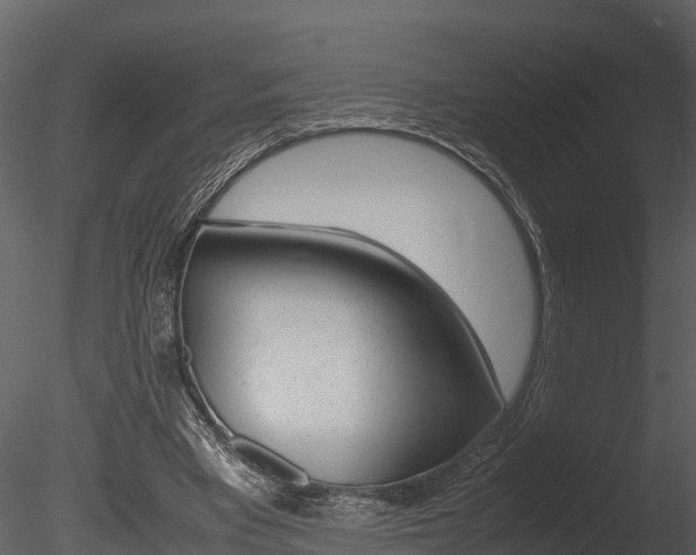 X0000085740393200703160909