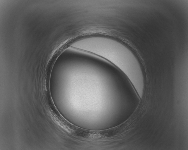 X0000085740399200703160908