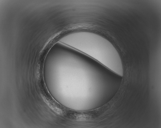 X0000085740400200703160908
