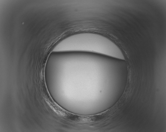 X0000085740405200703160908