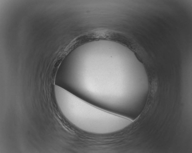 X0000085740413200703160908