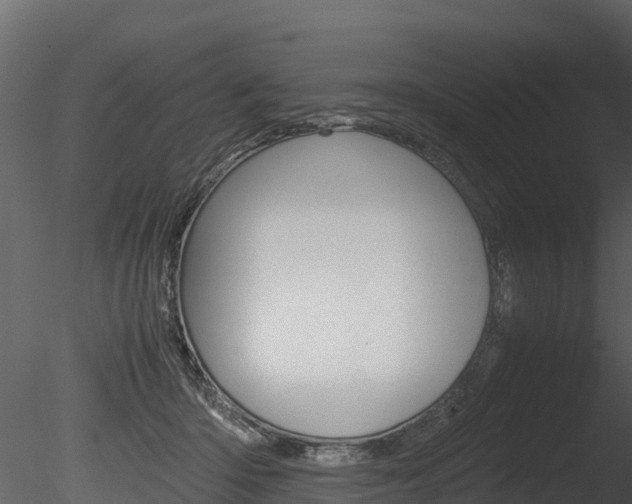 X0000085740414200703160908
