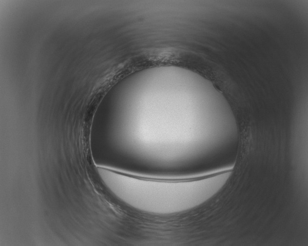 X0000085740416200703160908