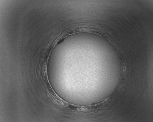 X0000085740419200703160908