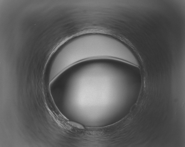 X0000085740436200703160907