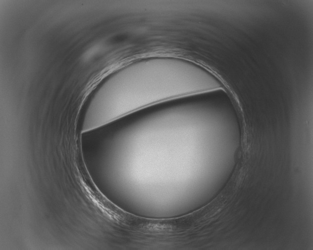X0000085740437200703160907