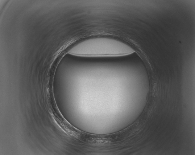 X0000085740443200703160907