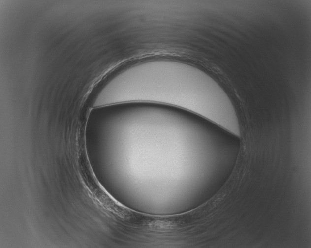 X0000085740444200703160907