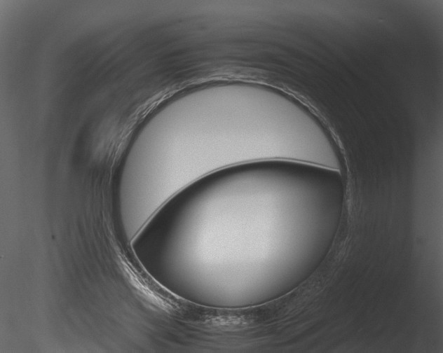 X0000085740445200703160907