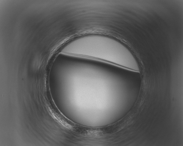 X0000085740446200703160907