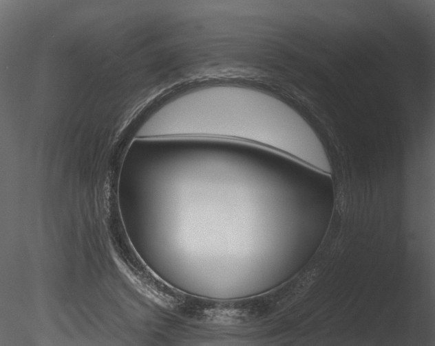 X0000085740448200703160907