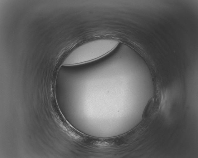 X0000085740453200703160907