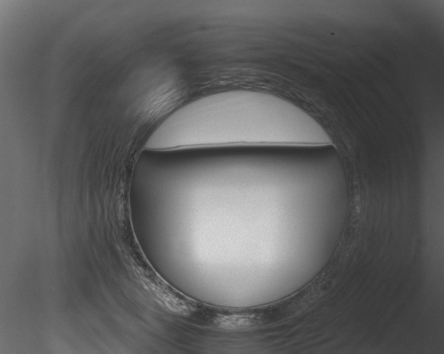 X0000085740461200703160908