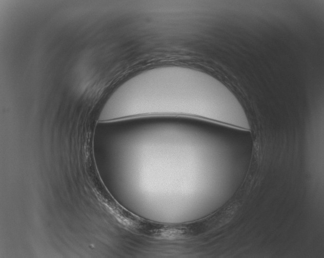 X0000085740462200703160908