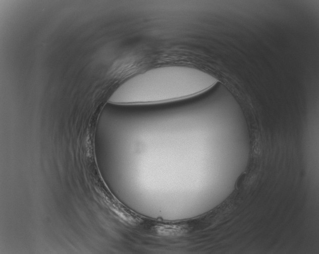 X0000085740465200703160908