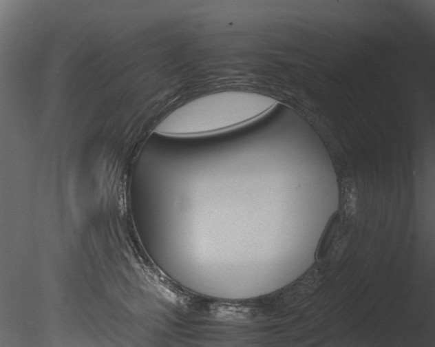 X0000085740471200703160908
