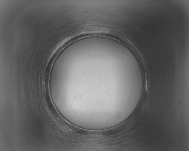 X0000085740483200703160907