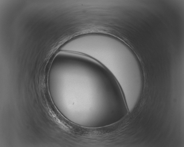 X0000085740485200703160907