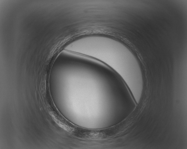 X0000085740493200703160907