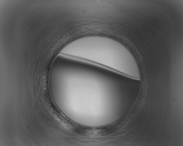 X0000085740497200703160907