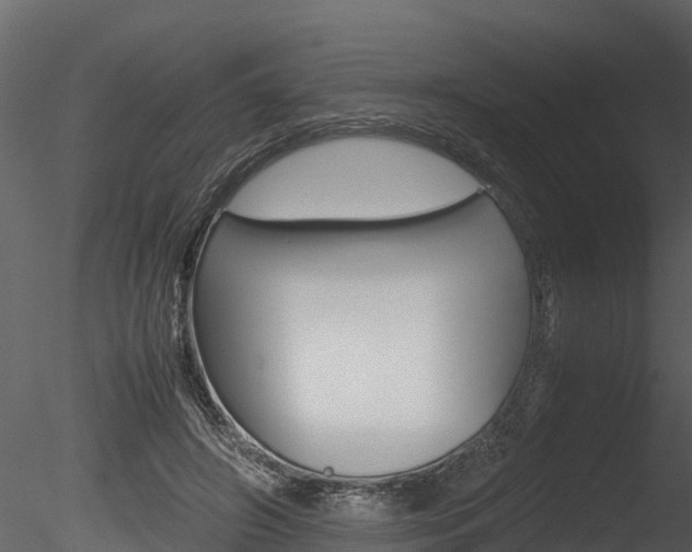 X0000085740498200703160907