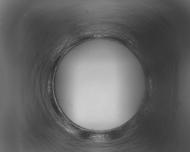 X0000085740499200703160907