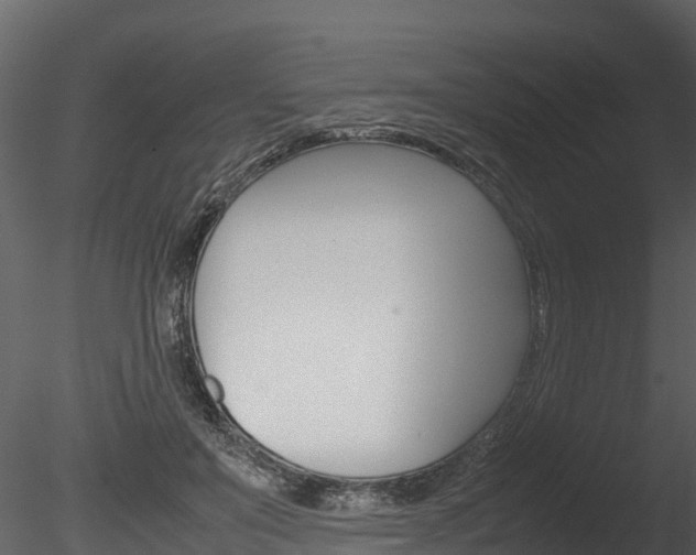 X0000085740503200703160907