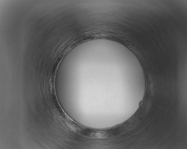 X0000085740506200703160907