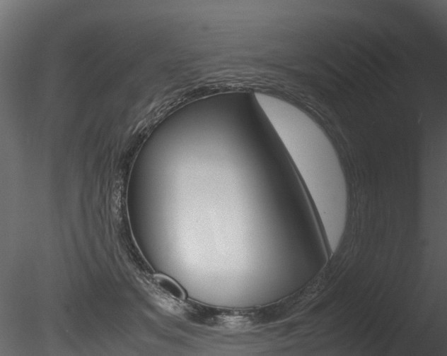 X0000085740509200703160907