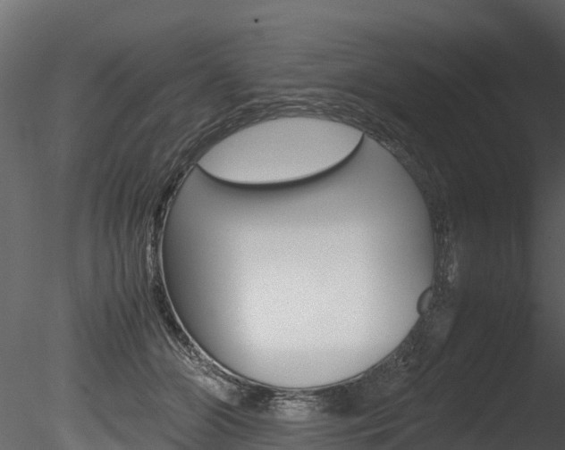 X0000085740510200703160907