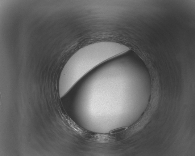 X0000085740528200703160906