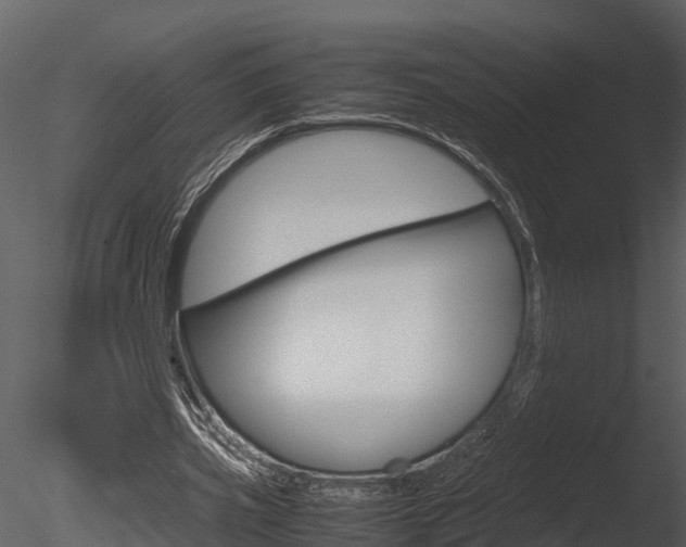 X0000085740533200703160905
