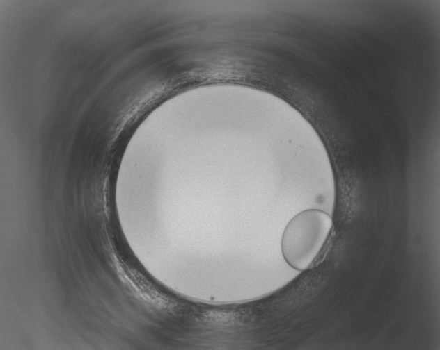 X0000085740534200703160905
